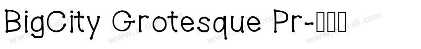 BigCity Grotesque Pr字体转换